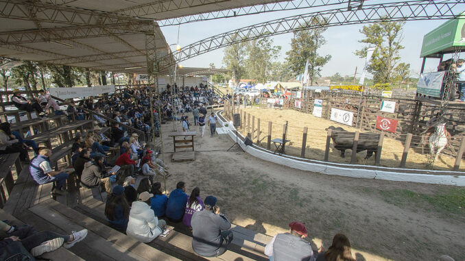 80° Expo Rural Formosa llega este 5, 6 y 7 de septiembre con tres días de tradición, campo y diversión en familia.